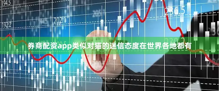 券商配资app类似对猫的迷信态度在世界各地都有