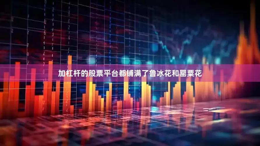 加杠杆的股票平台都铺满了鲁冰花和罂粟花