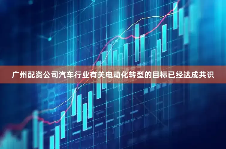 广州配资公司汽车行业有关电动化转型的目标已经达成共识