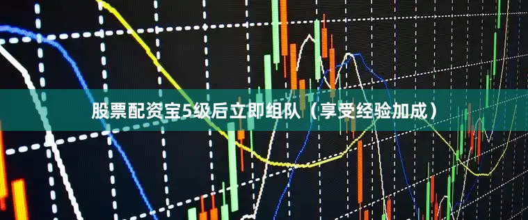 股票配资宝5级后立即组队（享受经验加成）